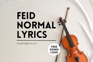 Feid Normal Lyrics