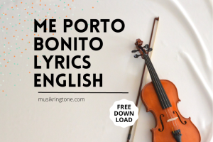 Me Porto Bonito Lyrics English