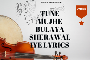 Tune Mujhe Bulaya Sherawaliye Lyrics